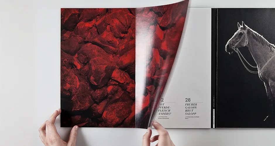 Editorial design project image 6