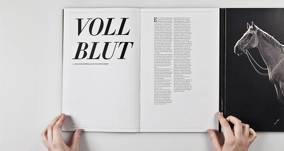 Editorial design project image 7