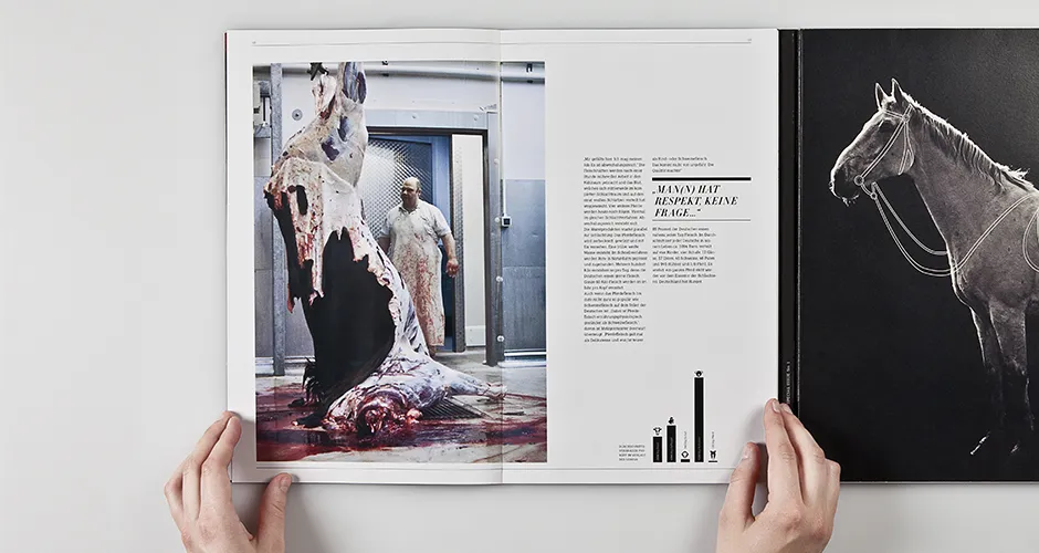 Editorial design cover image about the perception of horse meat